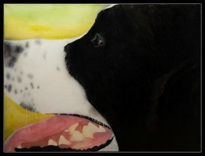 Francois, ein Hund zum Verlieben. Aber auf den zweiten Blick sieht man in Francois eine schwarze Katze. Wenn man sie einmal gesehen hat, bekommt man sie nicht mehr weggedacht. 60 x 80